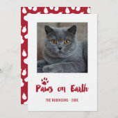 トレンディーペットのクリスマスフォト シーズンカード (正面/裏面)