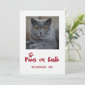 トレンディーペットのクリスマスフォト シーズンカード (スタンド正面)