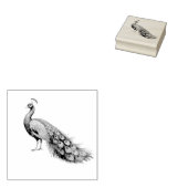 トレンディーモダンピーコック ラバースタンプ (押印)