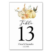 トレンディー秋の水の色かぼちゃと花 テーブルナンバー (正面)