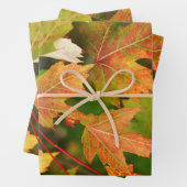 トレンディー秋の背景セット3 ラッピングペーパーシート (インサイチュ)