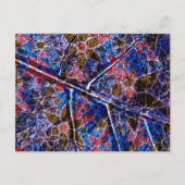 トレンディー花柄ヴィンテージ ポストカード (正面)