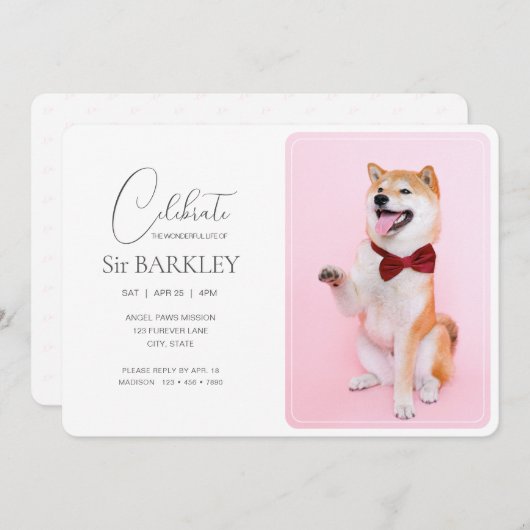 トレンディー&シンプルペット記念写真招待状 招待状 (正面/裏面)