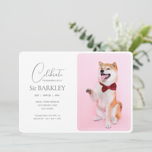 トレンディー&シンプルペット記念写真招待状 招待状 (スタンド正面)