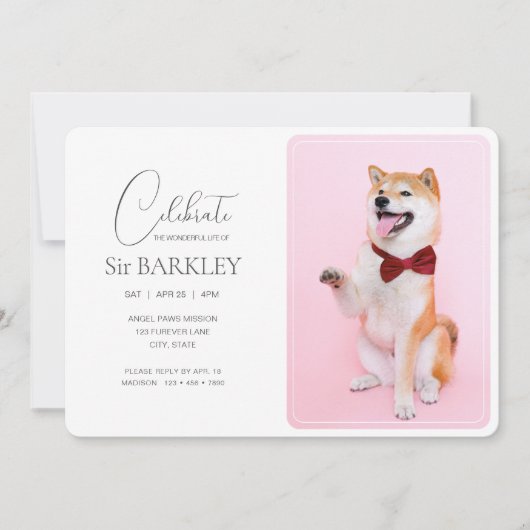 トレンディー&シンプルペット記念写真招待状 招待状 (正面)