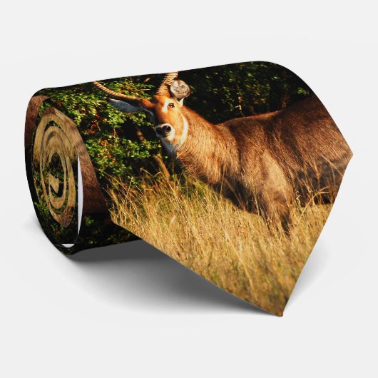 トレンディー、独占的な野性生物のサファリのタイ ネクタイ (ロール)