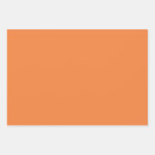 トレンドカラーのフレッシュなミカンのラッピング紙シート ラッピングペーパーシート (正面2)