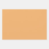 トレンドカラーソフトオレンジミックスラッピング紙シート ラッピングペーパーシート (正面)