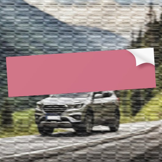 トレンドカラーソフトピンク バンパーステッカー