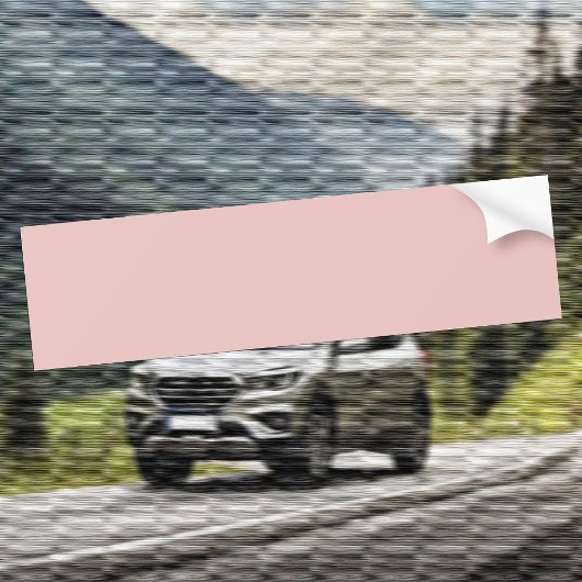 トレンドカラーライトピンク バンパーステッカー