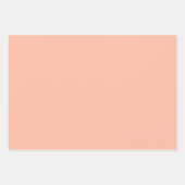 トレンドカラー – ソフトピーチラッピング紙シート ラッピングペーパーシート (正面2)