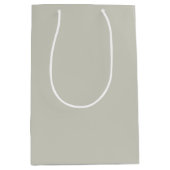 トレンドカラー – ライトシルバーグレーメディア抱き枕 ミディアムペーパーバッグ (正面)