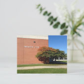 トレンパー高校用はがき ポストカード (スタンド正面)