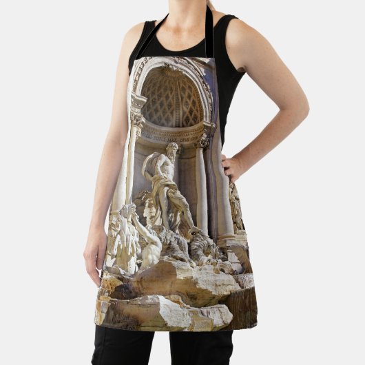 トレヴィの泉 エプロン (インサイチュ)