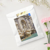 トレヴィの泉 フェイバーバッグ (封をした状態)