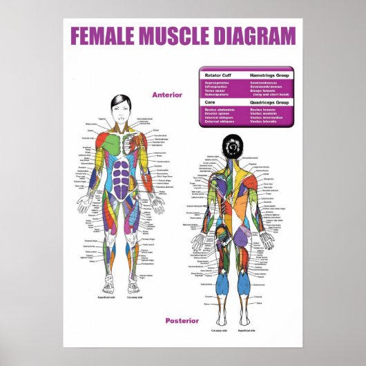 トレーニングやる気を起こさせる ポスター (正面)