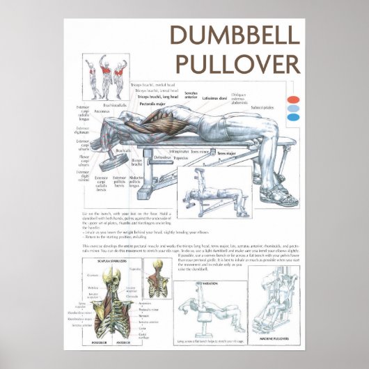 トレーニングやる気を起こさせる ポスター (正面)