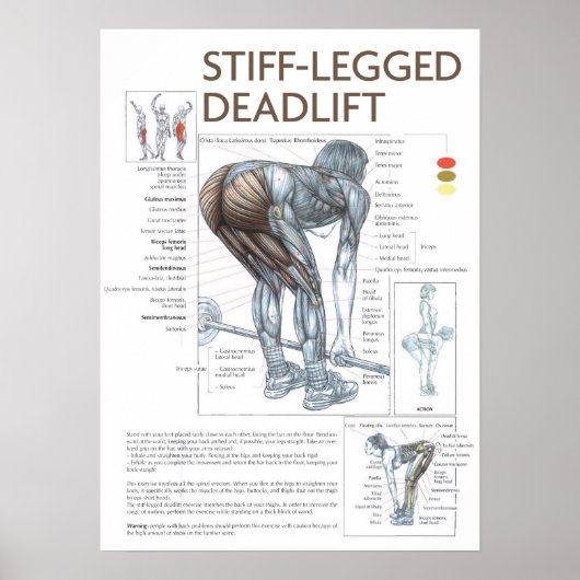 トレーニングやる気を起こさせる ポスター (正面)