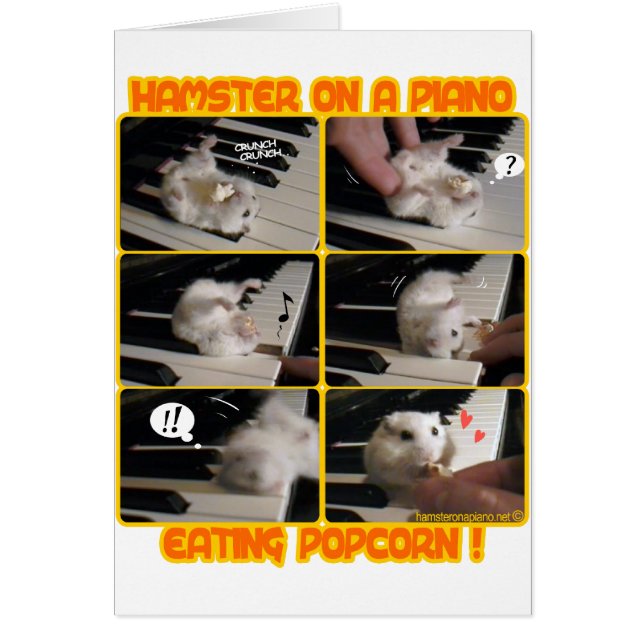 トレーラー (正面)