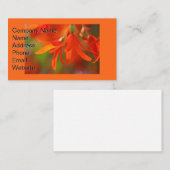 トレーリングオレンジベゴニア 名刺 (正面/裏面)