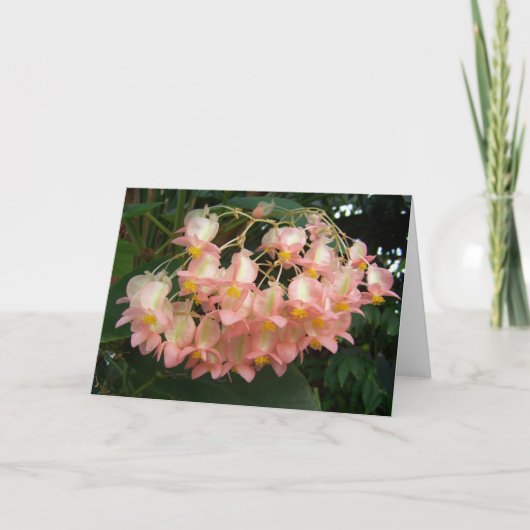 トレーリングベゴニア カード (正面)