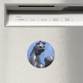 トロイの木馬 マグネット (インサイチュ (食洗機))