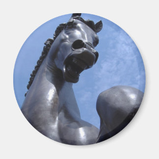 トロイの木馬 マグネット