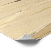 トロイの木馬T-28。 ポスター (角)