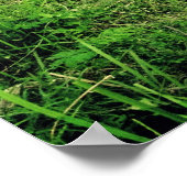 トロウラン畑 ポスター (角)