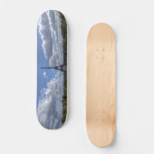 トロカデロからエッフェルタワーのパノラマの景色 スケートボード (正面)