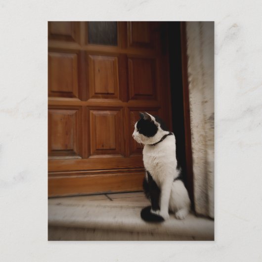 トロギル16 ポストカード (正面)