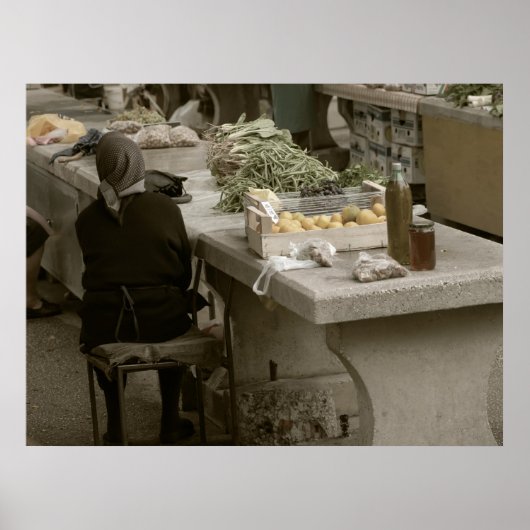 トロギル17 ポスター (正面)