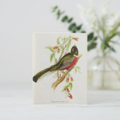 トログン曖昧さ ポストカード (スタンド正面)