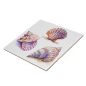 トロピエレガントカルビーチシーシェル真珠航海の タイル (側面)