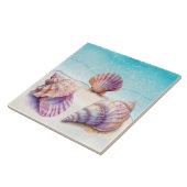 トロピエレガントカルビーチシーシェル真珠航海の タイル (側面)