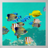 トロピカラフルカルフィッシュクルージングA珊瑚礁 ポスター (正面)