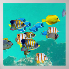 トロピカラフルカルフィッシュクルージングA珊瑚礁 ポスター