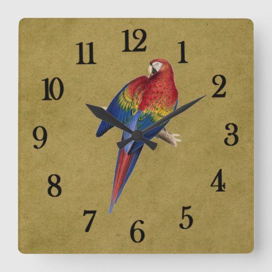 トロピカルなオウム スクエア壁時計 (正面)