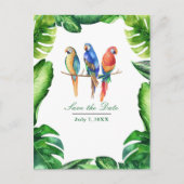 トロピカルな鳥と葉のSave the Date 案内ポストカード (正面)
