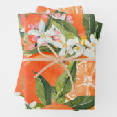 トロピカルの水色グレープフルーツモダンの色 ラッピングペーパーシート (インサイチュ)