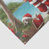 トロピカルアイランドのメリークリスマスサンタ 薄葉紙 (詳細)
