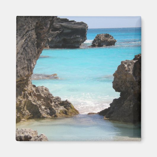 トロピカルアイランドコースト&シー写真 マグネット (正面)