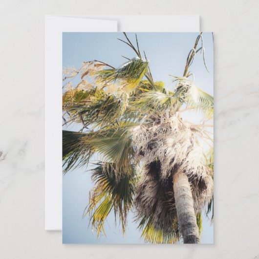 トロピカルアイランドパームツリースウィート16バースデーパーティー 招待状 (裏面)