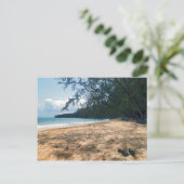 トロピカルアイランドビーチ,カンボジア ポストカード (スタンド正面)