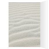 トロピカルアイルサンライズサンキューピンクID581 (内側 (左))