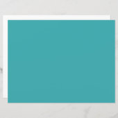 トロピカルアクア/ターコイズ無地のカラーSW 6767 (正面/裏面)