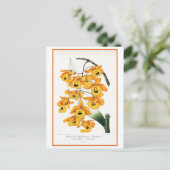 トロピカルイエローオーキッドイラストレーション ポストカード (スタンド正面)
