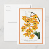 トロピカルイエローオーキッドイラストレーション ポストカード (正面/裏面)