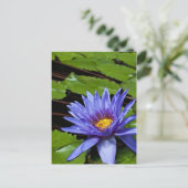 トロピカルウォーターリリーのポストカード ポストカード (スタンド正面)
