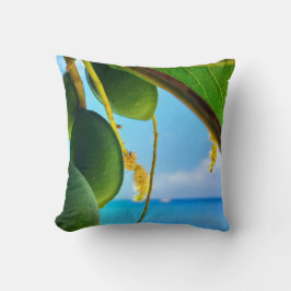 トロピカルエッセンスコレクション – トロピカルフルーツ&シー クッション